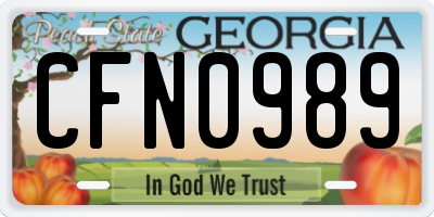 GA license plate CFN0989