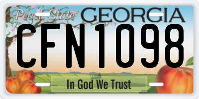 GA license plate CFN1098