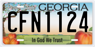 GA license plate CFN1124