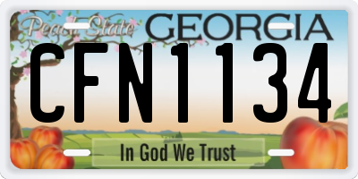 GA license plate CFN1134