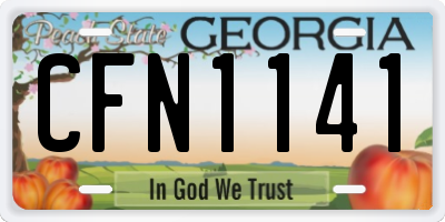 GA license plate CFN1141