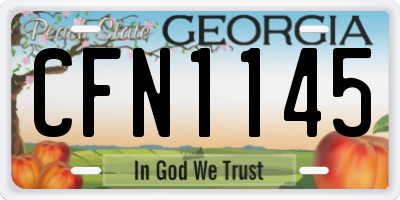 GA license plate CFN1145