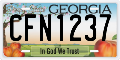 GA license plate CFN1237