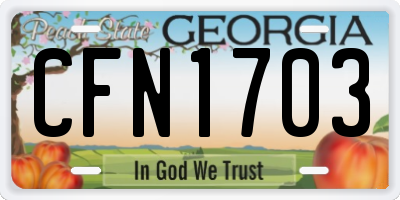 GA license plate CFN1703