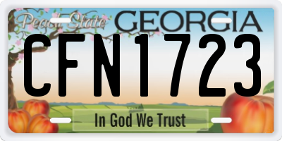 GA license plate CFN1723