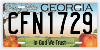 GA license plate CFN1729