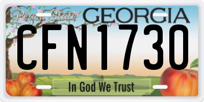 GA license plate CFN1730