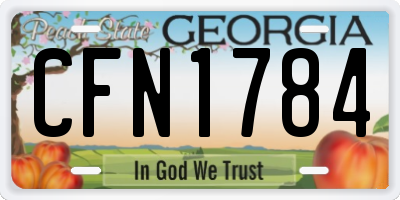 GA license plate CFN1784