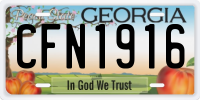 GA license plate CFN1916