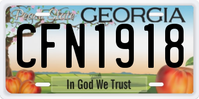 GA license plate CFN1918