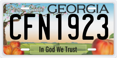 GA license plate CFN1923