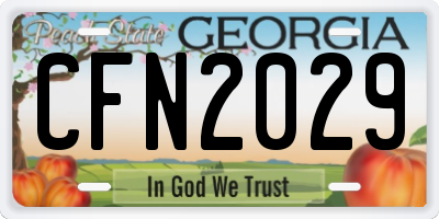 GA license plate CFN2029