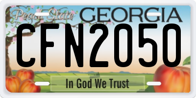GA license plate CFN2050