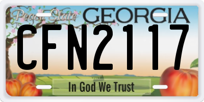 GA license plate CFN2117