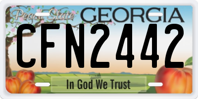GA license plate CFN2442