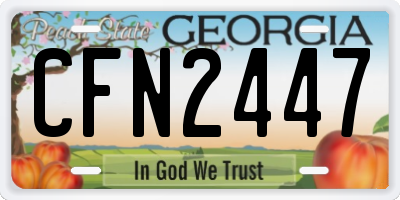 GA license plate CFN2447