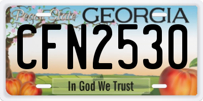 GA license plate CFN2530