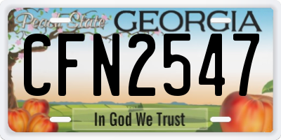 GA license plate CFN2547