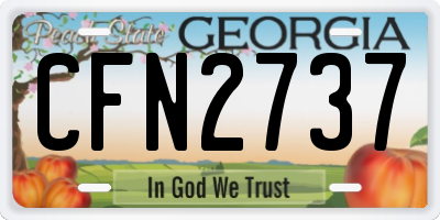 GA license plate CFN2737