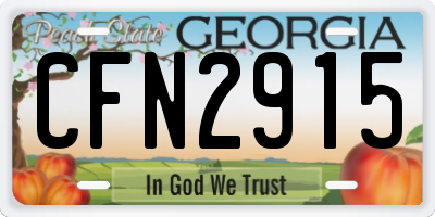 GA license plate CFN2915