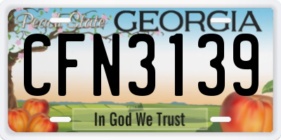 GA license plate CFN3139