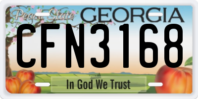 GA license plate CFN3168