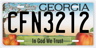 GA license plate CFN3212