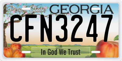 GA license plate CFN3247