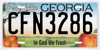GA license plate CFN3286