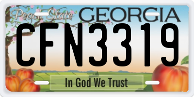 GA license plate CFN3319