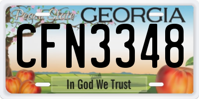 GA license plate CFN3348