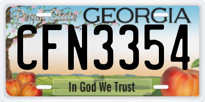 GA license plate CFN3354