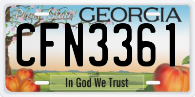 GA license plate CFN3361