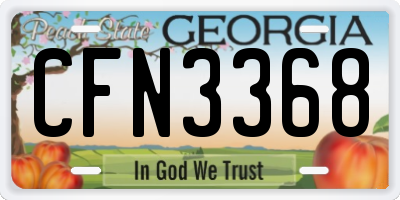 GA license plate CFN3368