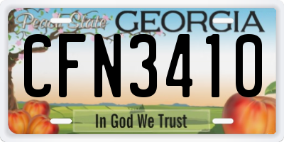GA license plate CFN3410