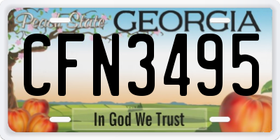 GA license plate CFN3495