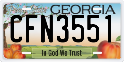 GA license plate CFN3551