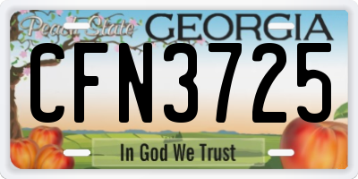 GA license plate CFN3725