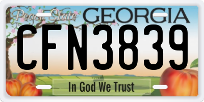 GA license plate CFN3839