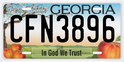 GA license plate CFN3896