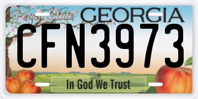 GA license plate CFN3973