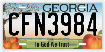 GA license plate CFN3984