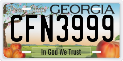 GA license plate CFN3999