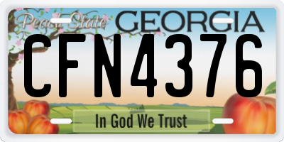GA license plate CFN4376