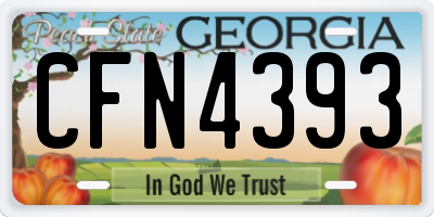 GA license plate CFN4393