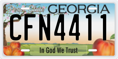GA license plate CFN4411