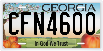 GA license plate CFN4600