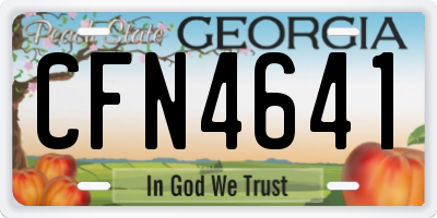 GA license plate CFN4641