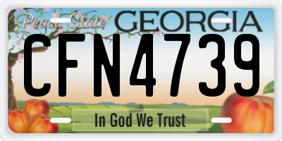 GA license plate CFN4739