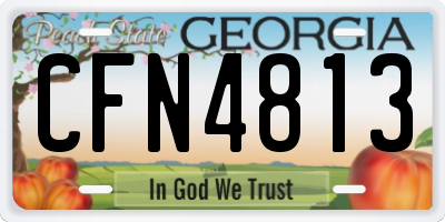 GA license plate CFN4813